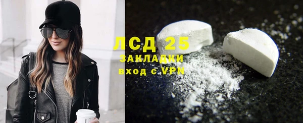 таблы Гусев