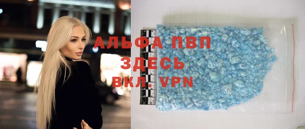 таблы Гусев