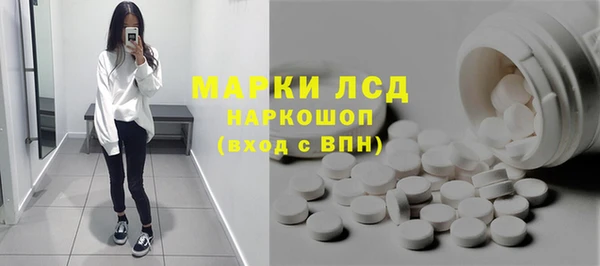 таблы Гусев