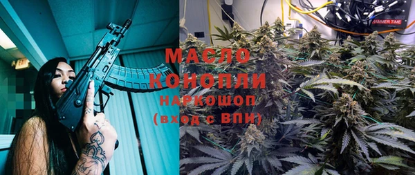 таблы Гусев